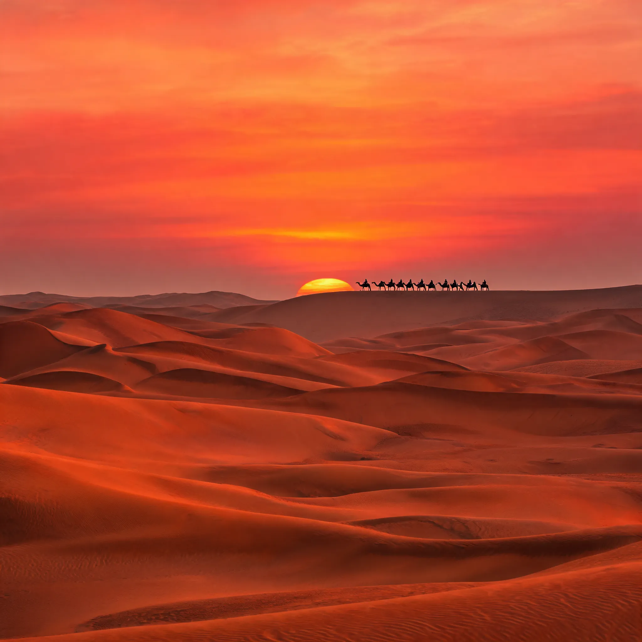 Sahara Desert at sunset, orange-red sand dunes stretching endlessly, silhouette of a camel caravan in the distance
