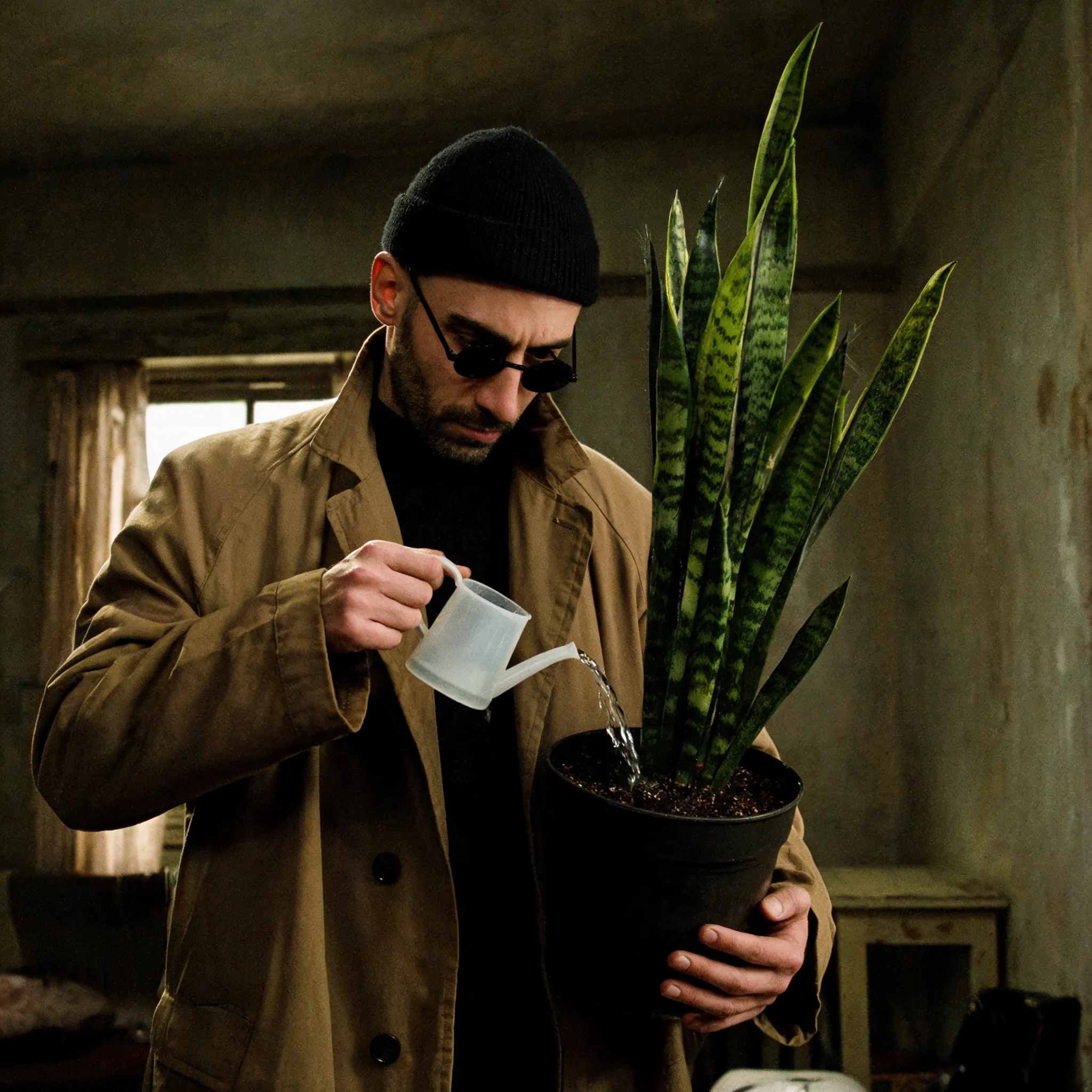Plant watering scene from Léon: The Professional