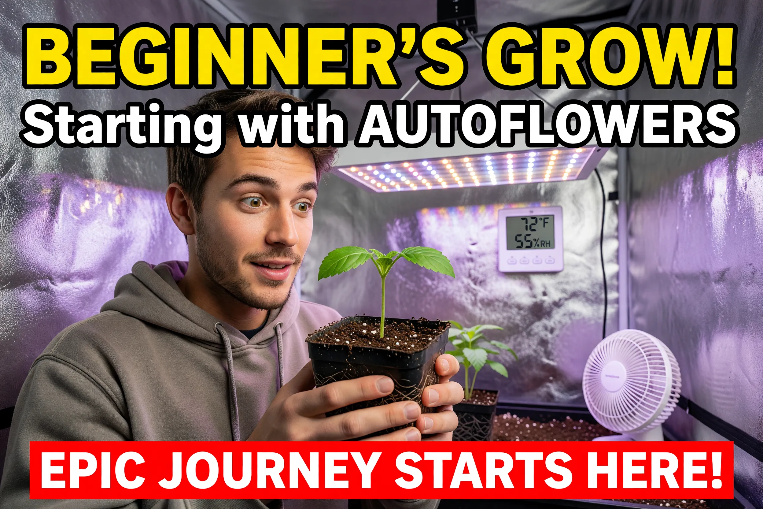create a YouTube thumbnail for a A beginner cannabis grow starting with autoflowers.