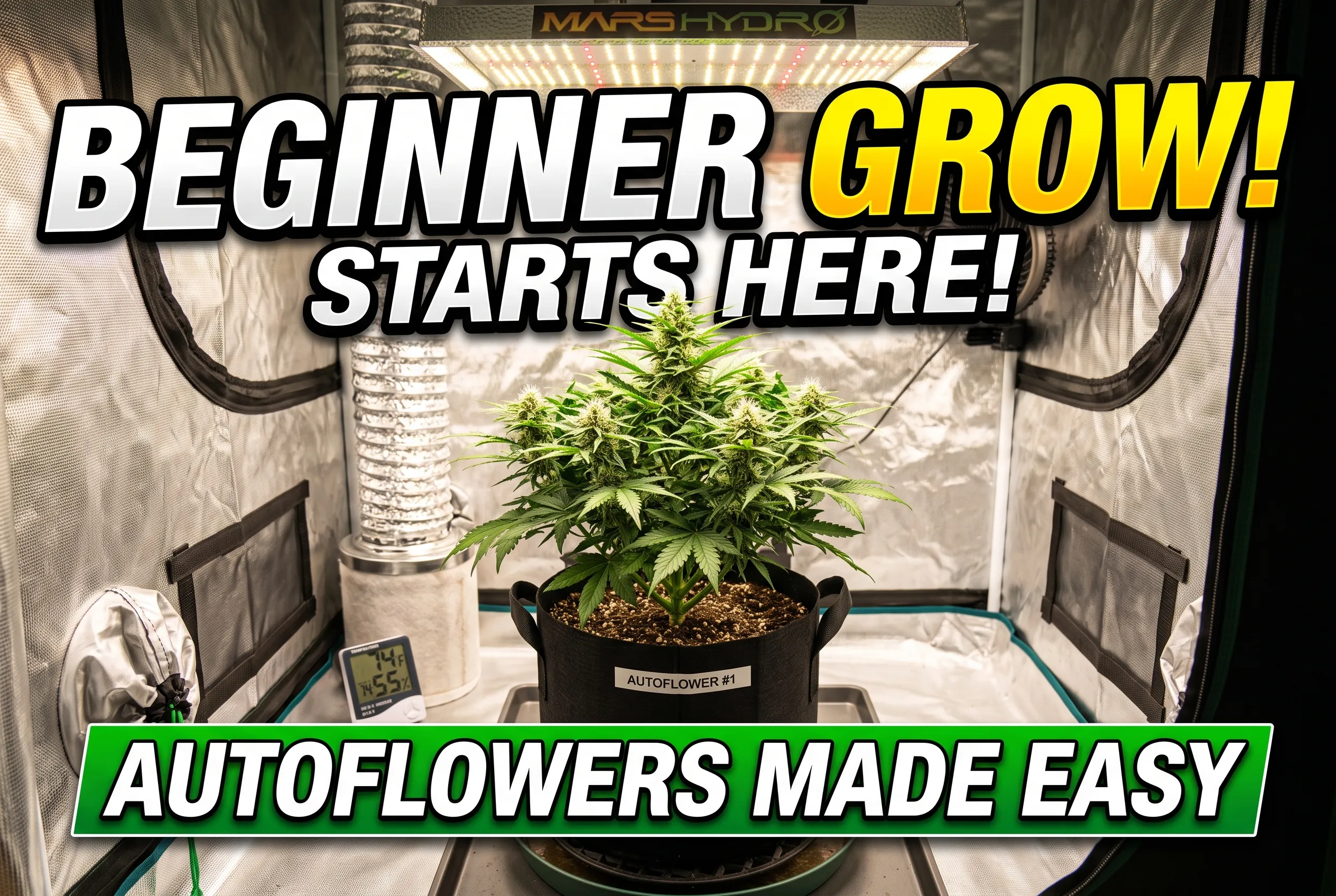 create a YouTube thumbnail for a A beginner cannabis grow starting with autoflowers. No people in the image