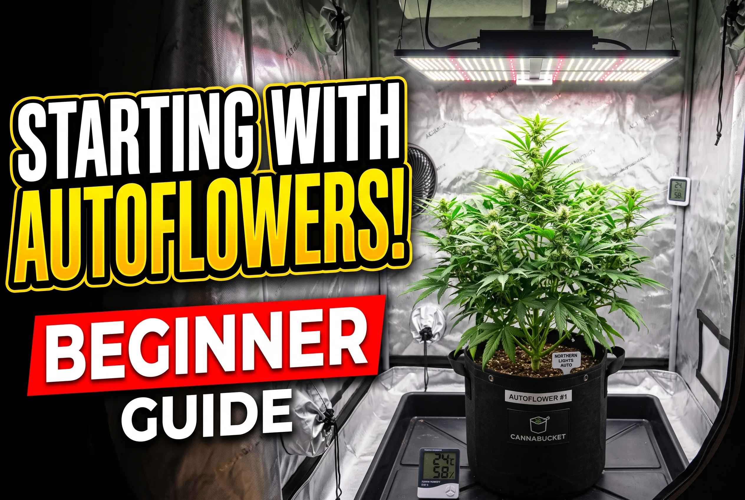 create a YouTube thumbnail for a A beginner cannabis grow starting with autoflowers. No people in the image. No name on the grow light