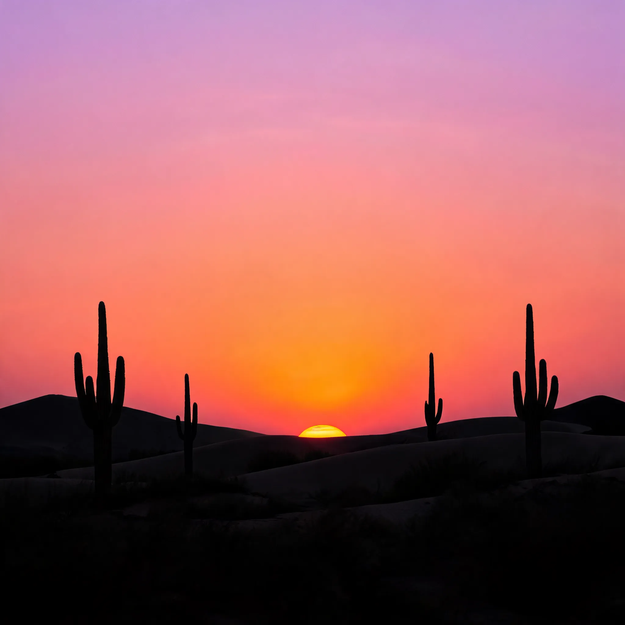 Desert silhouette at sunset