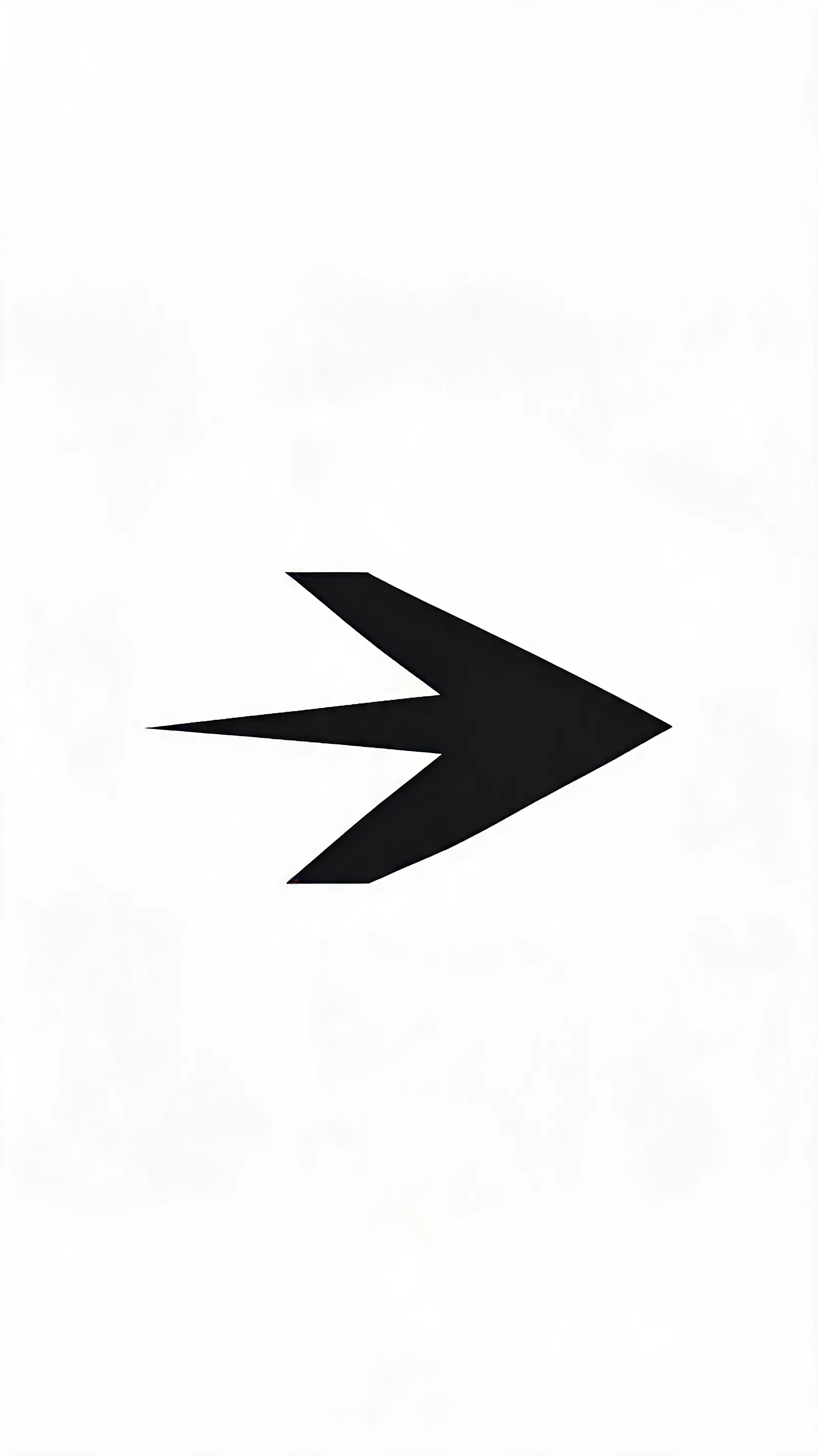 A modern flat logo with sharp angles, monochrome colors, and an abstract icon symbolizing speed.