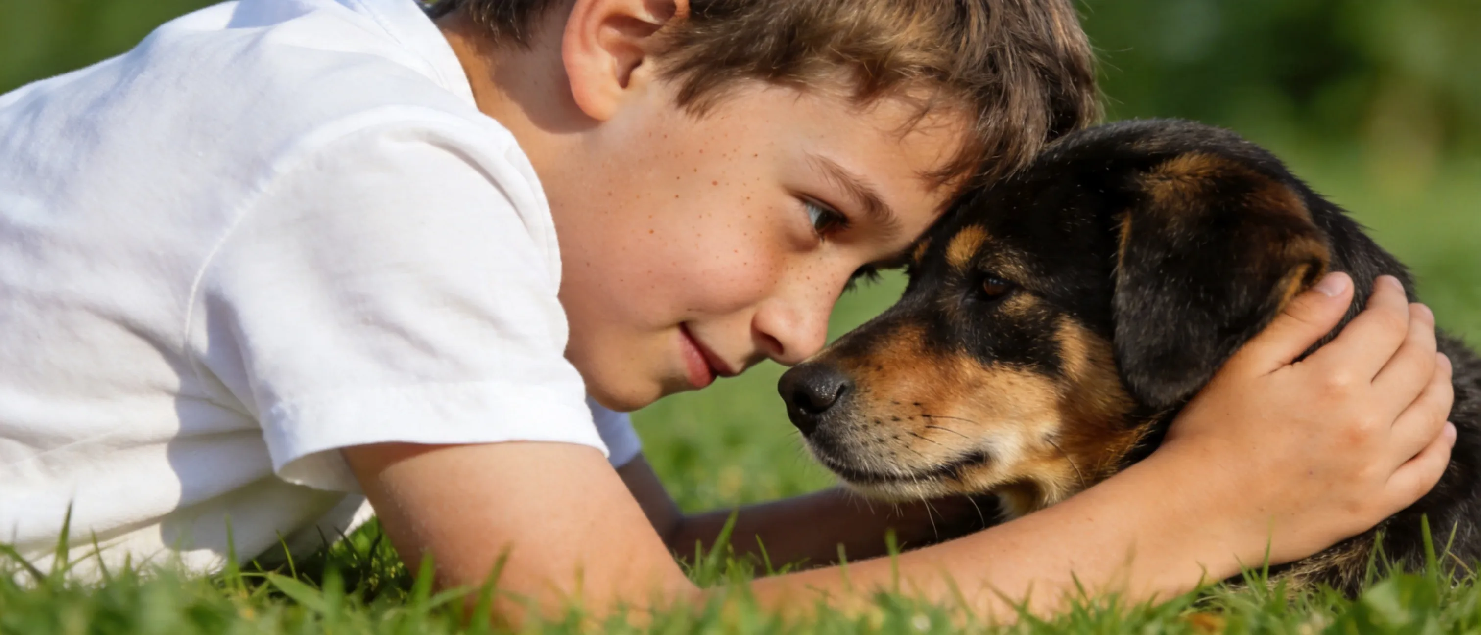 A premium cover-style photograph of a child in a white T-shirt hugging a dog face to face on green grass,
medium-close framing, balanced composition, warm intimate mood, textured natural background, soft sunlight, refined color grading, detailed dog fur, realistic skin texture, clean and emotional visual storytelling, ultra-realistic, ultra-detailed, crisp focus, HDR, 8K, high resolution