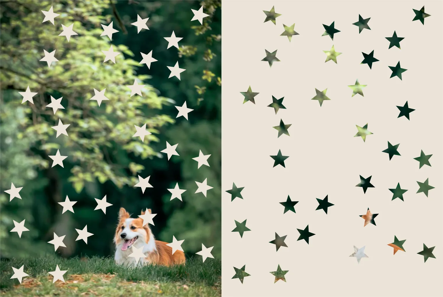 Generate the doooot image for me.