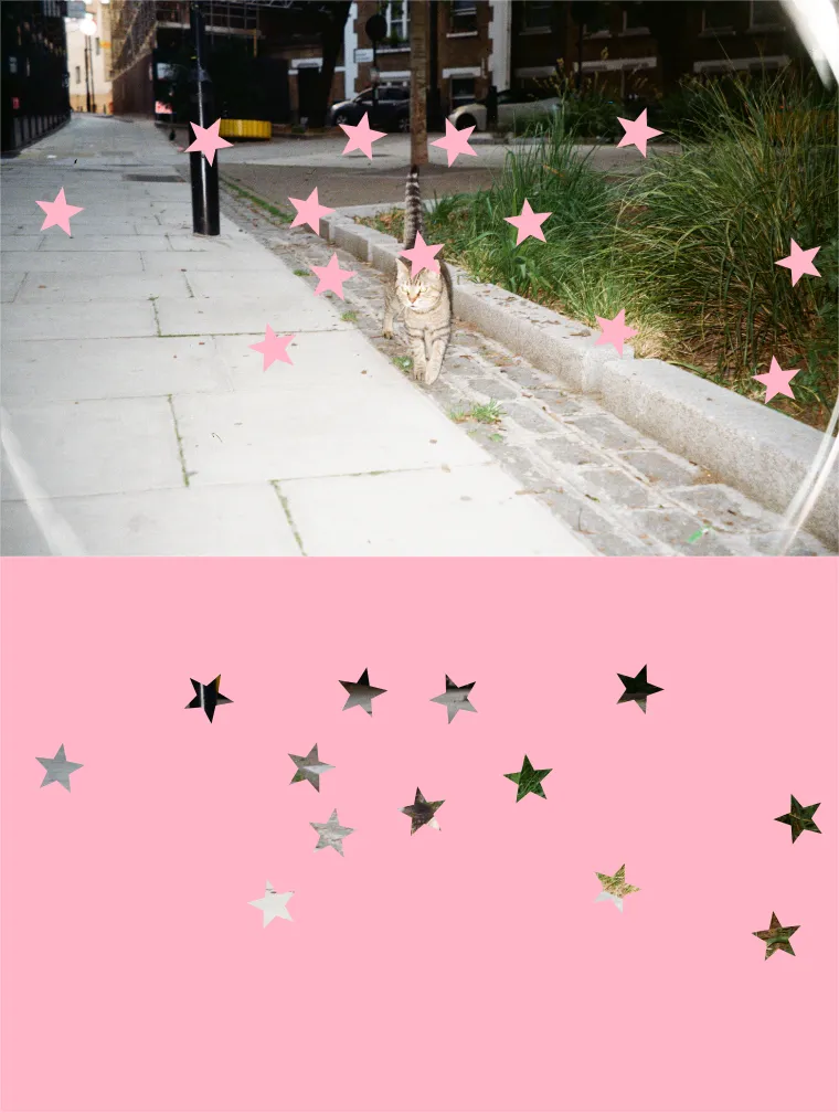 Generate the doooot image for me.