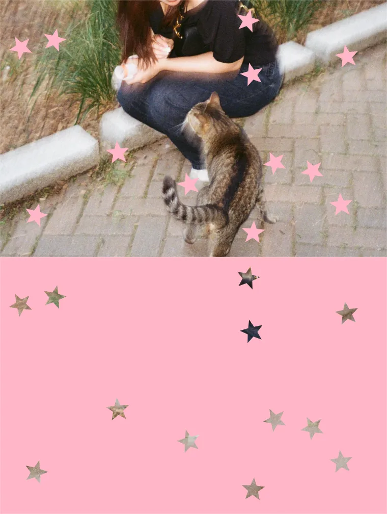 Generate the doooot image for me.